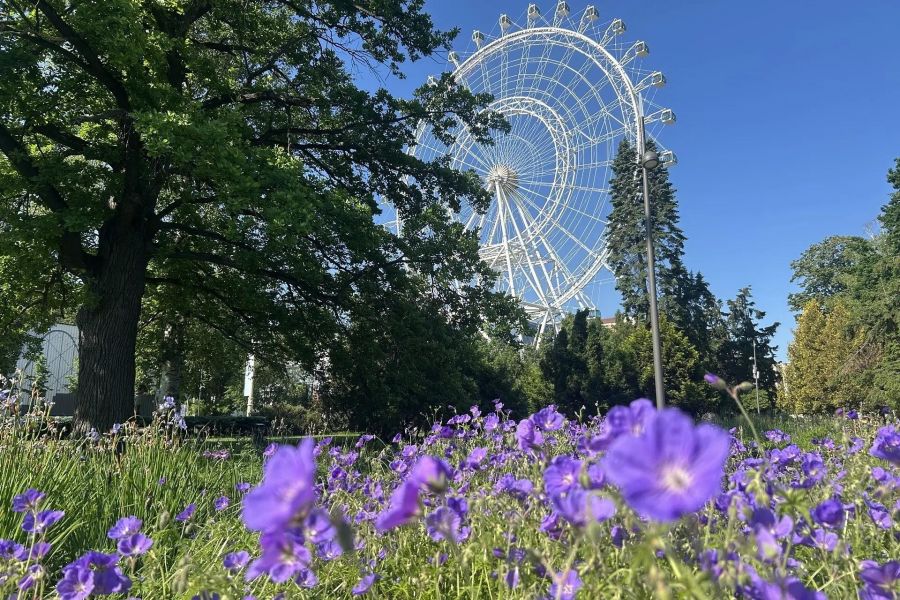 Московская матрешка: город в городе НОЯБРЬ - АПРЕЛЬ 2027