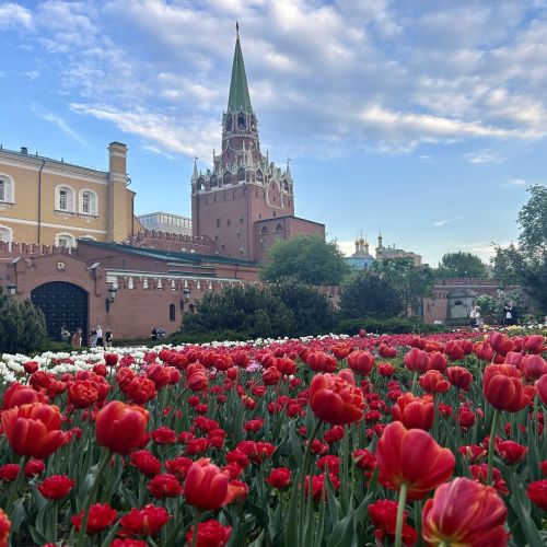 ]
Фотографии с прогулок и экскурсий по историческому…