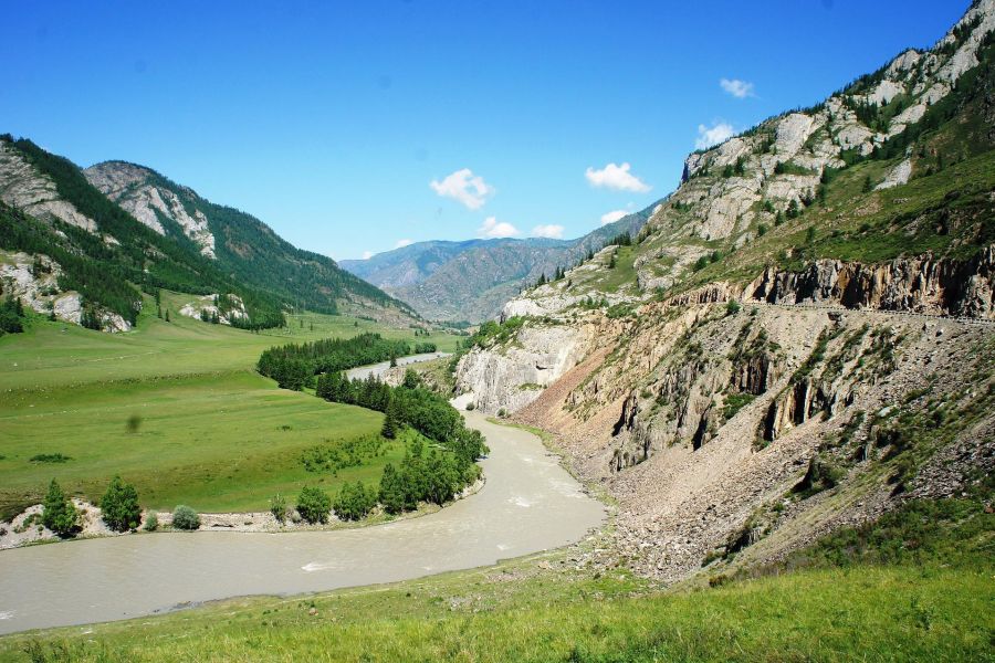 Алтай КОМБИ