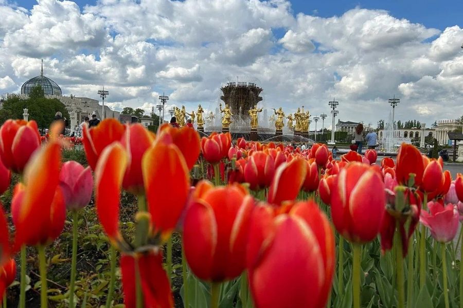 Московская матрешка: город в городе НОЯБРЬ - АПРЕЛЬ 2027