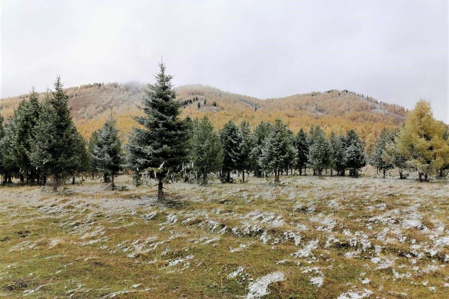 Алтай рафтинг